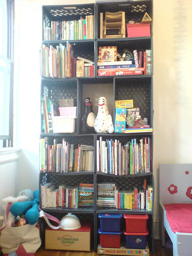 Daddytypes: crate bookcase