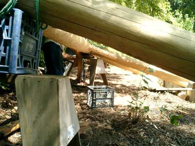 Crate construction in the woods