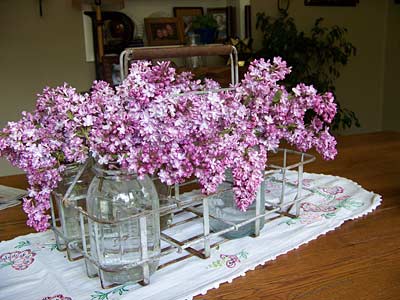 Flowers in a metal milkcrate