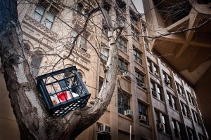 crate-in-tree
